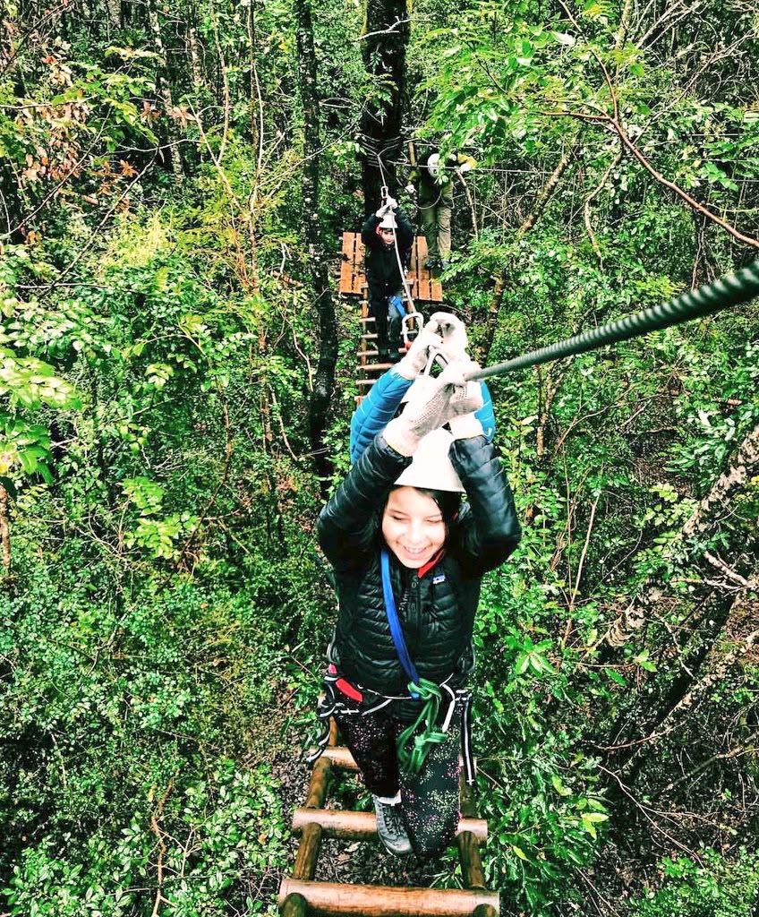 Canopy y arborismo